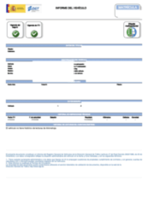 Vista del documento oficial de la DGT, con los datos ocultos